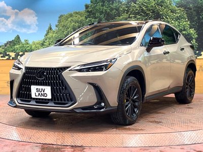2024 Lexus NX 缩略图 55