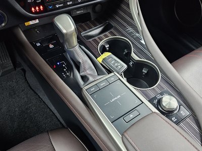 2022 Lexus RX thumbnail 12