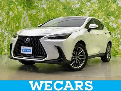 2024 Lexus NX 照片 1
