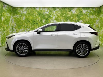 2024 Lexus NX 照片 2