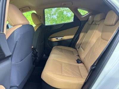 2024 Lexus NX 照片 7