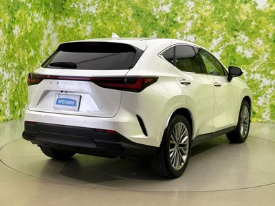 2024 Lexus NX 照片 3