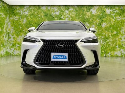 صورة مصغرة 44 لـ 2024 Lexus NX