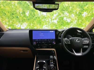 2024 Lexus NX 照片 4