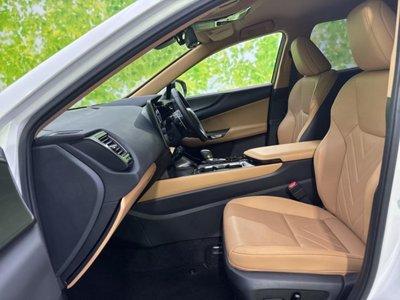 2024 Lexus NX 照片 6