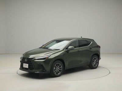 LEXUS NX - 10