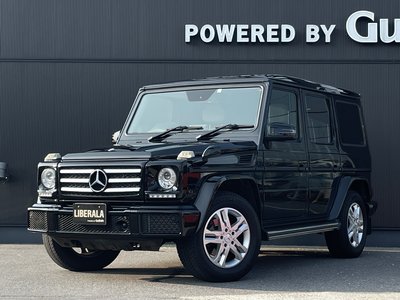2017 Mercedes-BENZ G-CLASS thumbnail 51