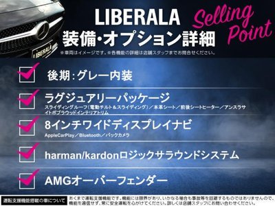 2017 Mercedes-BENZ G-CLASS 照片 2