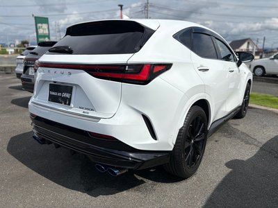 LEXUS NX - 10