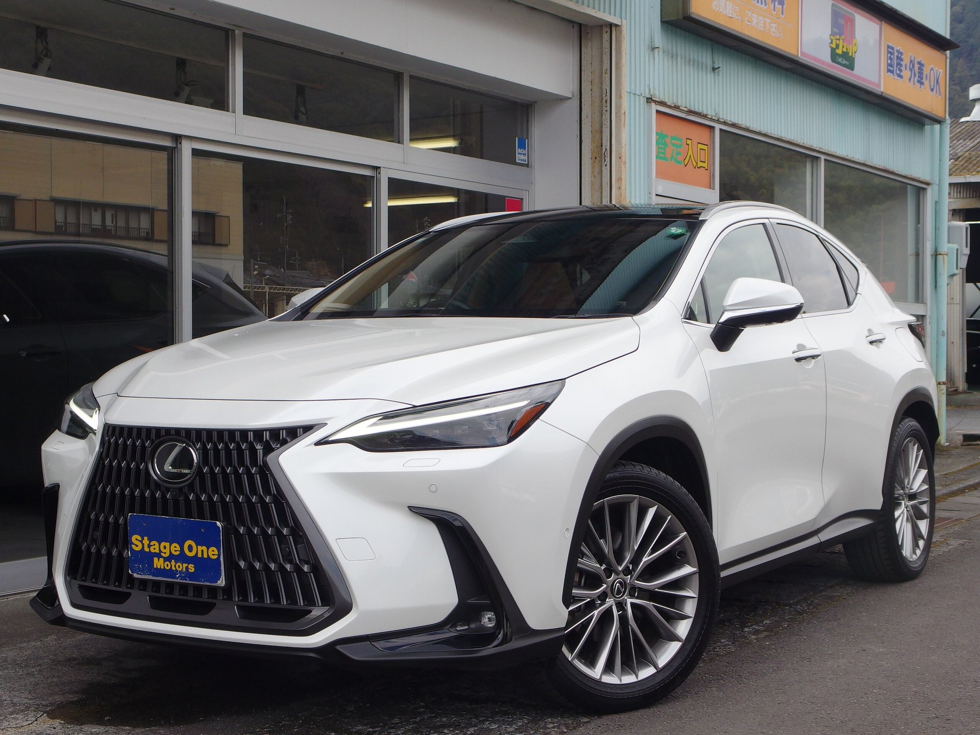 LEXUS NX - View 1