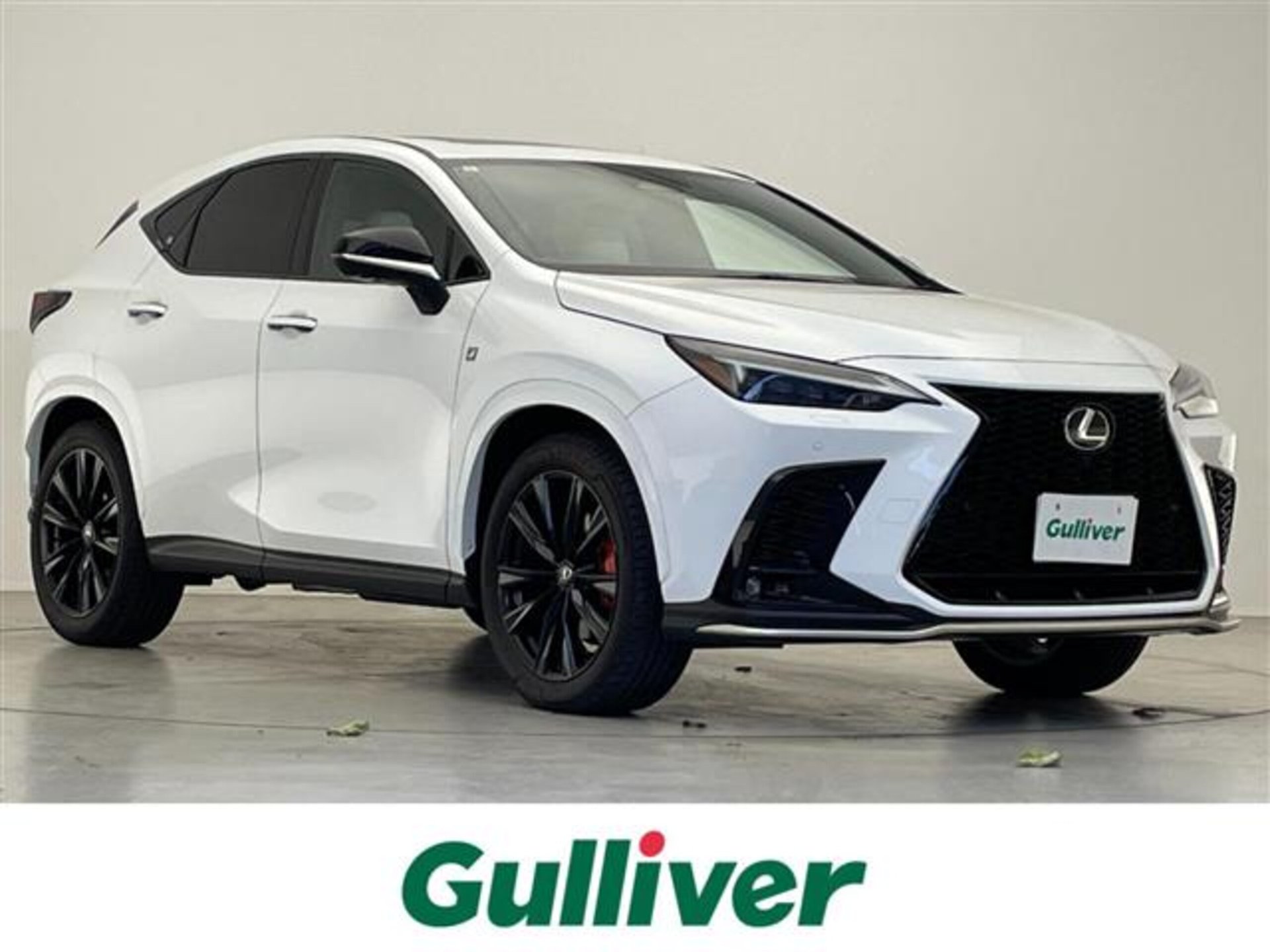 LEXUS NX - View 1