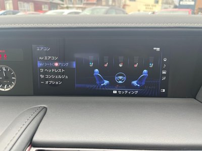 2022 Lexus LC CONVERTIBLE 照片 10