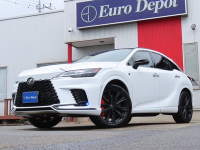 2025 Lexus RX thumbnail 21