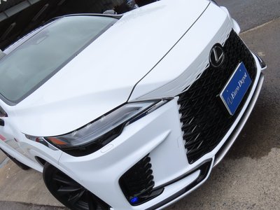 2025 Lexus RX thumbnail 31