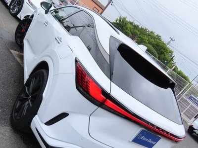 2025 Lexus RX thumbnail 43