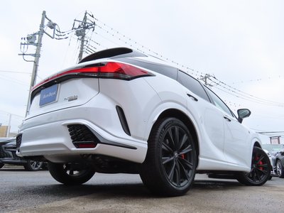 2025 Lexus RX thumbnail 36