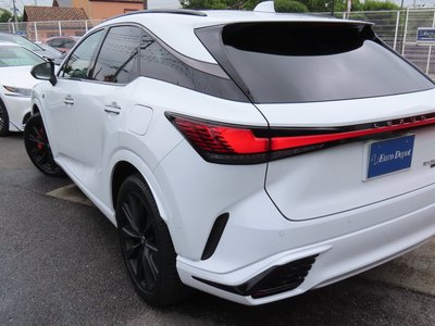 2025 Lexus RX thumbnail 44