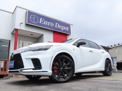 2025 Lexus RX thumbnail 22