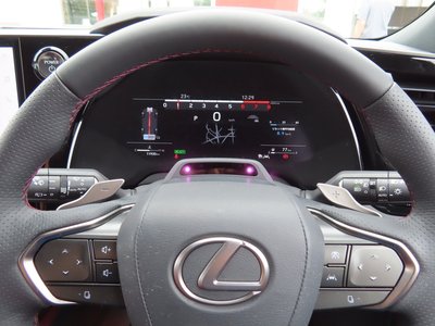 2025 Lexus RX thumbnail 68