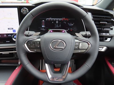 2025 Lexus RX thumbnail 66