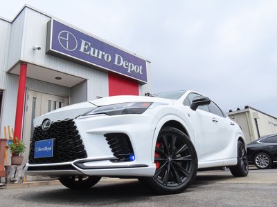 2025 Lexus RX thumbnail 23
