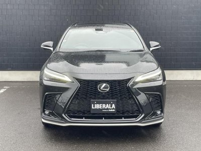 2023 Lexus NX 缩略图 39