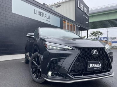 2023 Lexus NX 缩略图 15