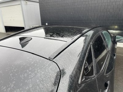 2023 Lexus NX 照片 4