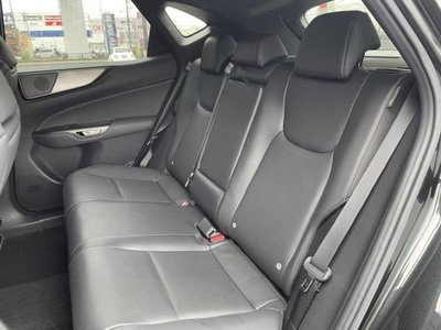 2023 Lexus NX 缩略图 12