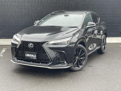 2023 Lexus NX 照片 1