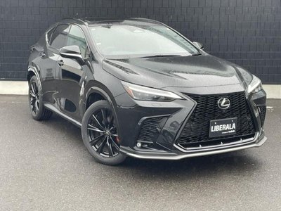 2023 Lexus NX 缩略图 17