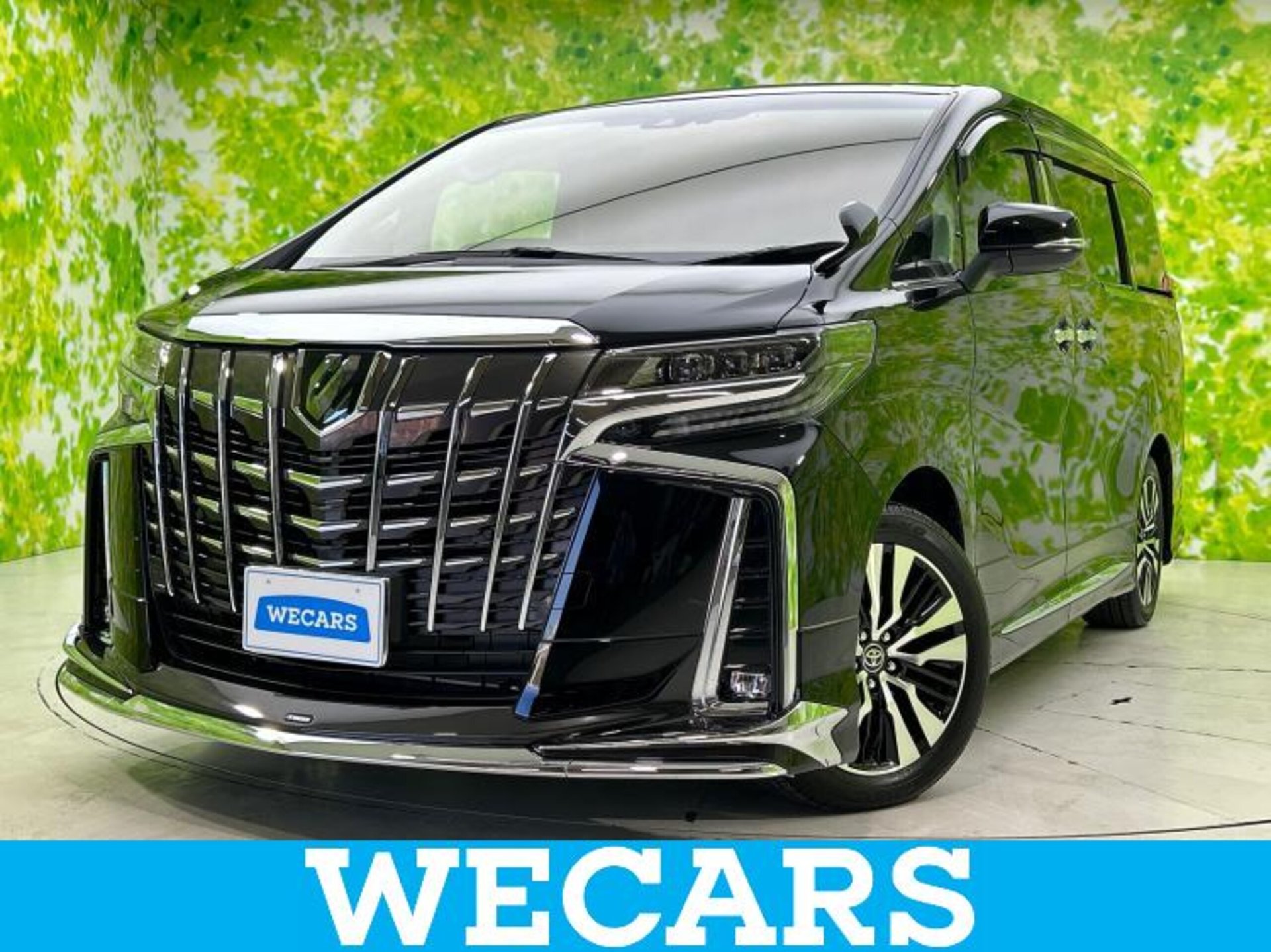 TOYOTA ALPHARD - View 1