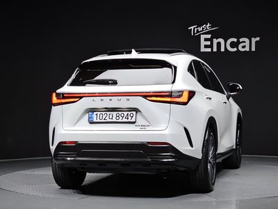 2024 Lexus NX 照片 3