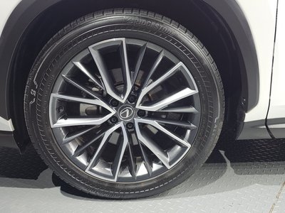 2024 Lexus NX 照片 6