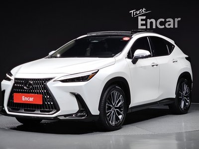 2024 Lexus NX 照片 1