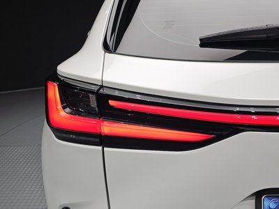2024 Lexus NX 照片 10