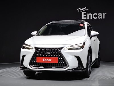 2024 Lexus NX 照片 2
