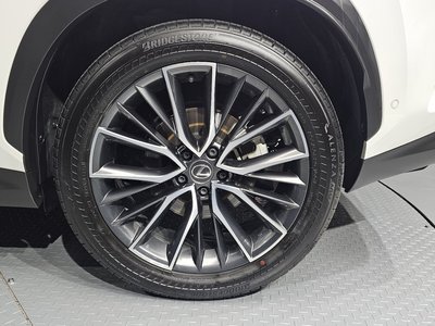 2024 Lexus NX 照片 8
