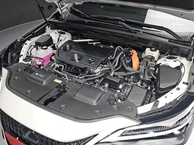 2024 Lexus NX 照片 7