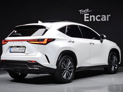 2024 Lexus NX 照片 5