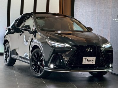 LEXUS NX - 10