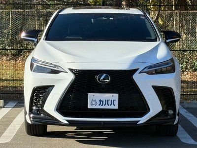 LEXUS NX F SPORT - 2