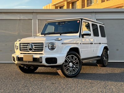 MERCEDES-BENZ G-CLASS