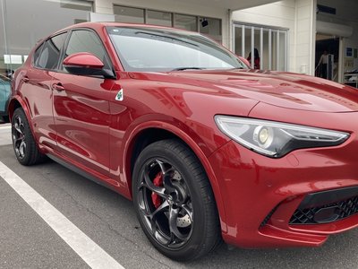 صورة 10 لـ 2019 ALFA Romeo STELVIO