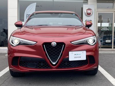 صورة 4 لـ 2019 ALFA Romeo STELVIO