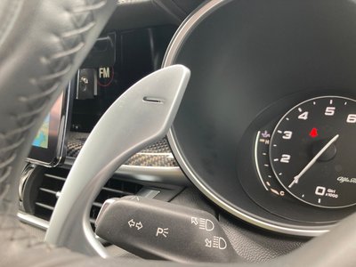 صورة مصغرة 44 لـ 2019 ALFA Romeo STELVIO