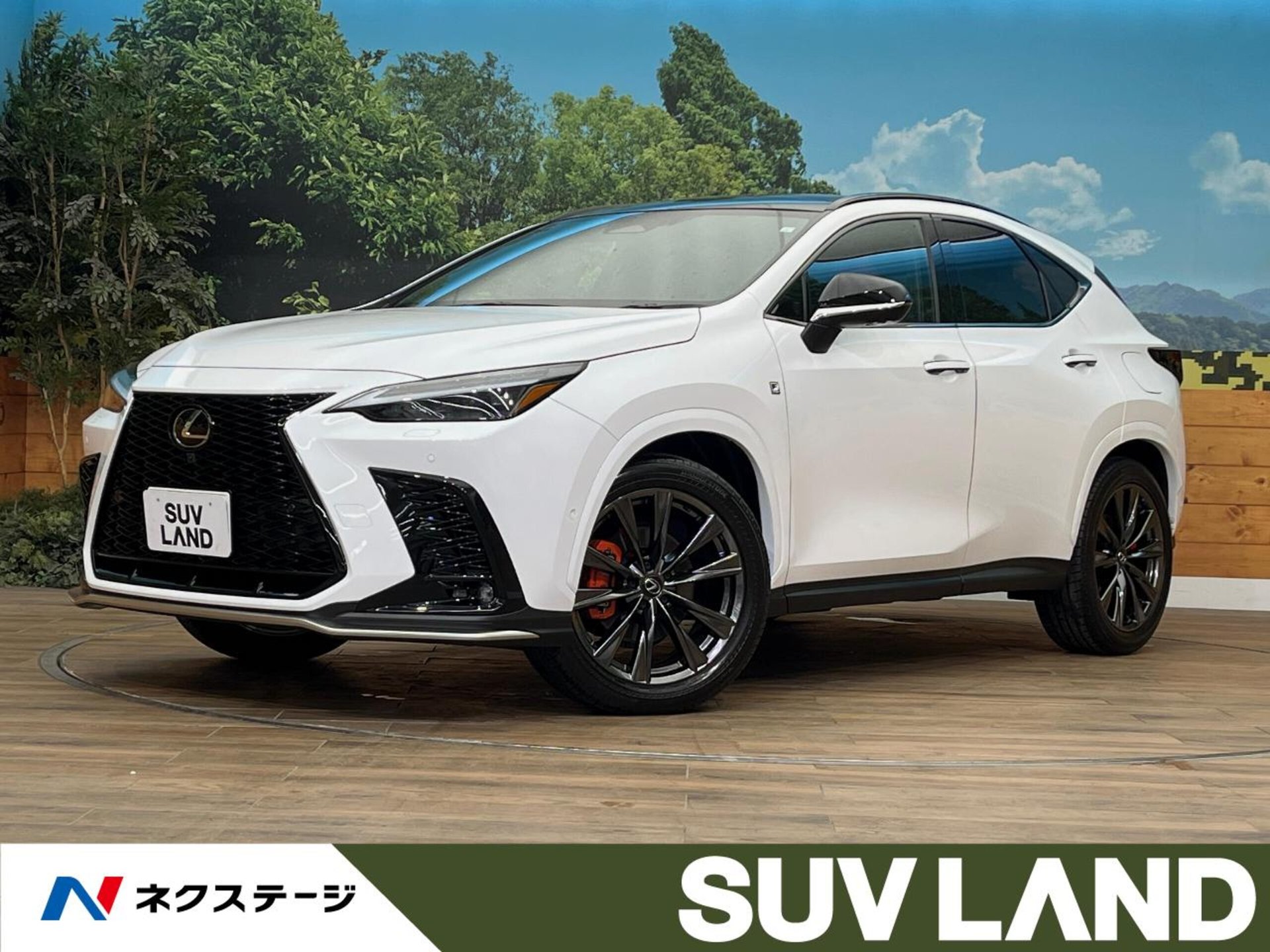 LEXUS NX - View 1
