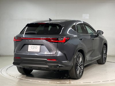 LEXUS NX - 6