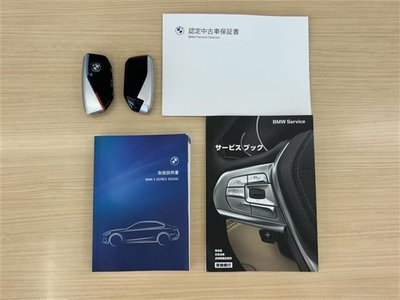 2024 BMW 5 SERIES 缩略图 41