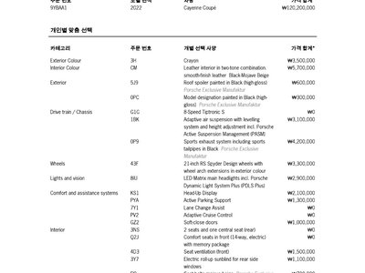 2022 Porsche CAYENNE 缩略图 18